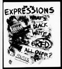 Expressions, Spring 2004, Issue 4